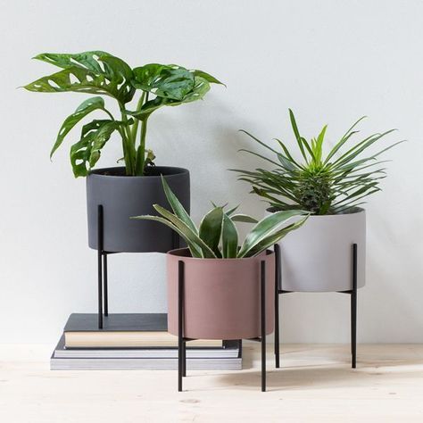 Multy Colour Plant Stand 3.P Set with Plants | MSPS-0141
