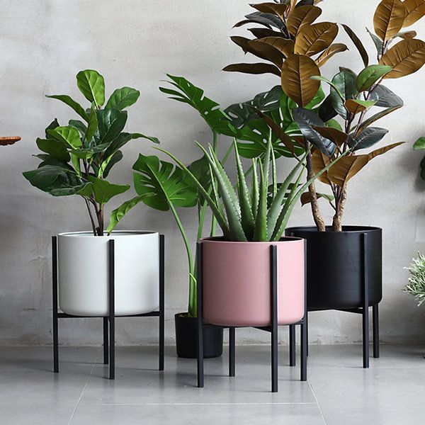 Multy Colour Plant Stand 3.P Set with Plants | MSPS-0141